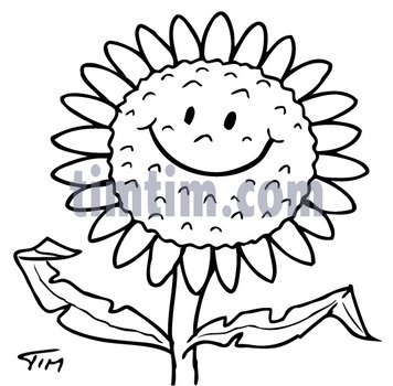 Sunflower Smiley Face Bw &bull; Climate & Nature Timtim