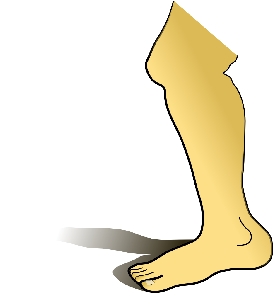 Leg with shadow, drawing free image download