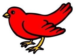 painted red bird with a yellow beak
