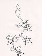 drawing flowers on a white background