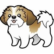 painted brown-white puppy