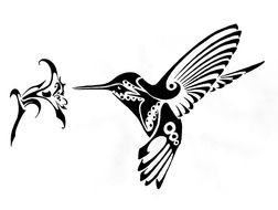 Hummingbirds drawing