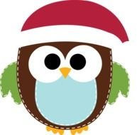 owl in santa claus hat