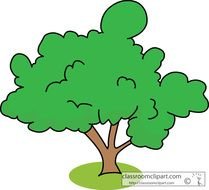 Free Trees