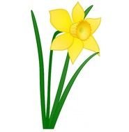 Flower Collection Of 150 N2