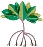 Tree Roots drawing