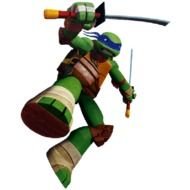 Teenage Mutant Ninja Turtles N40