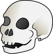Cartoon Skull At Clkercom Vector Online Royalty
