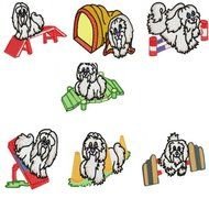Maltese Dog drawing