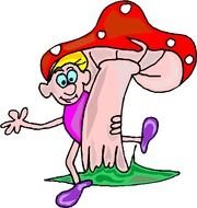 Back &amp;gt Gallery For Gnomes Mushrooms