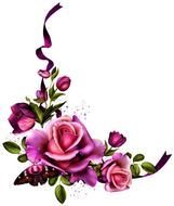 Purple Rose Corner drawing