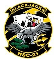 us navy squadron logo