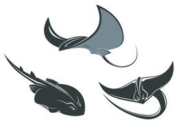 Stingrays, Tattoo designs