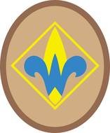 Public Webelos drawing