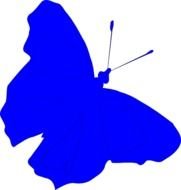 Blue Butterfly drawing