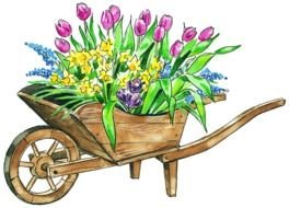 Flower Garden cart drawing