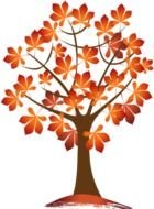 painted autumn tree on a white background