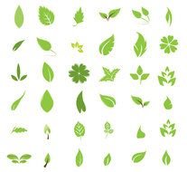 450 Free Graphics Lush Vector Trees And Summer Leaves Tuts Design clipart