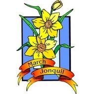 card with yellow daffodils