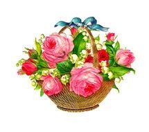 wicker basket with pink roses on a white background