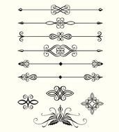Digital Vector Line Dividers Calligraphic Design Elements