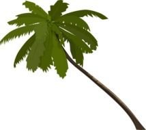 Alone Palm Tree At Clkercom Vector Online