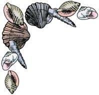Border Borders Seashell Shell Sea Fish Tropical Ar 13 Bw clipart