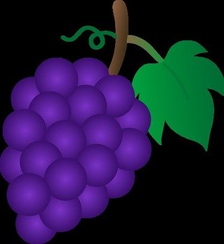 Bunch Of Purple Grapes Free