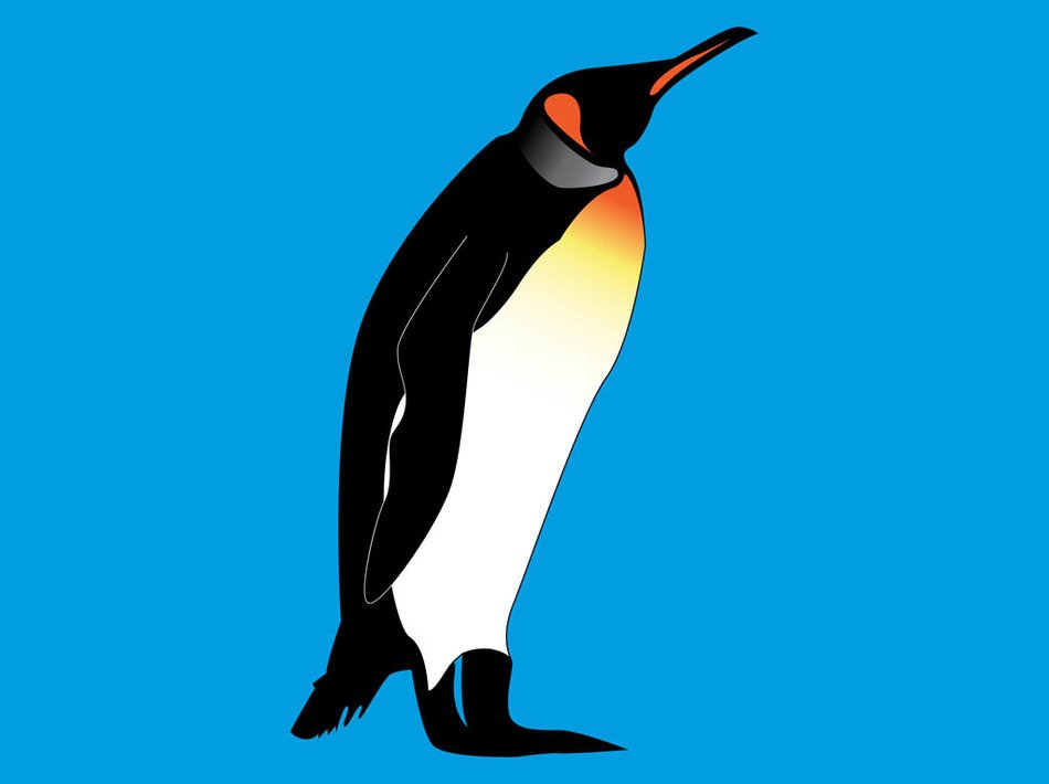 Clip art of the penguin at blue background