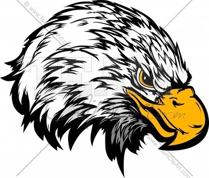 Eagle Head Logo Design 0263 This Image Is The