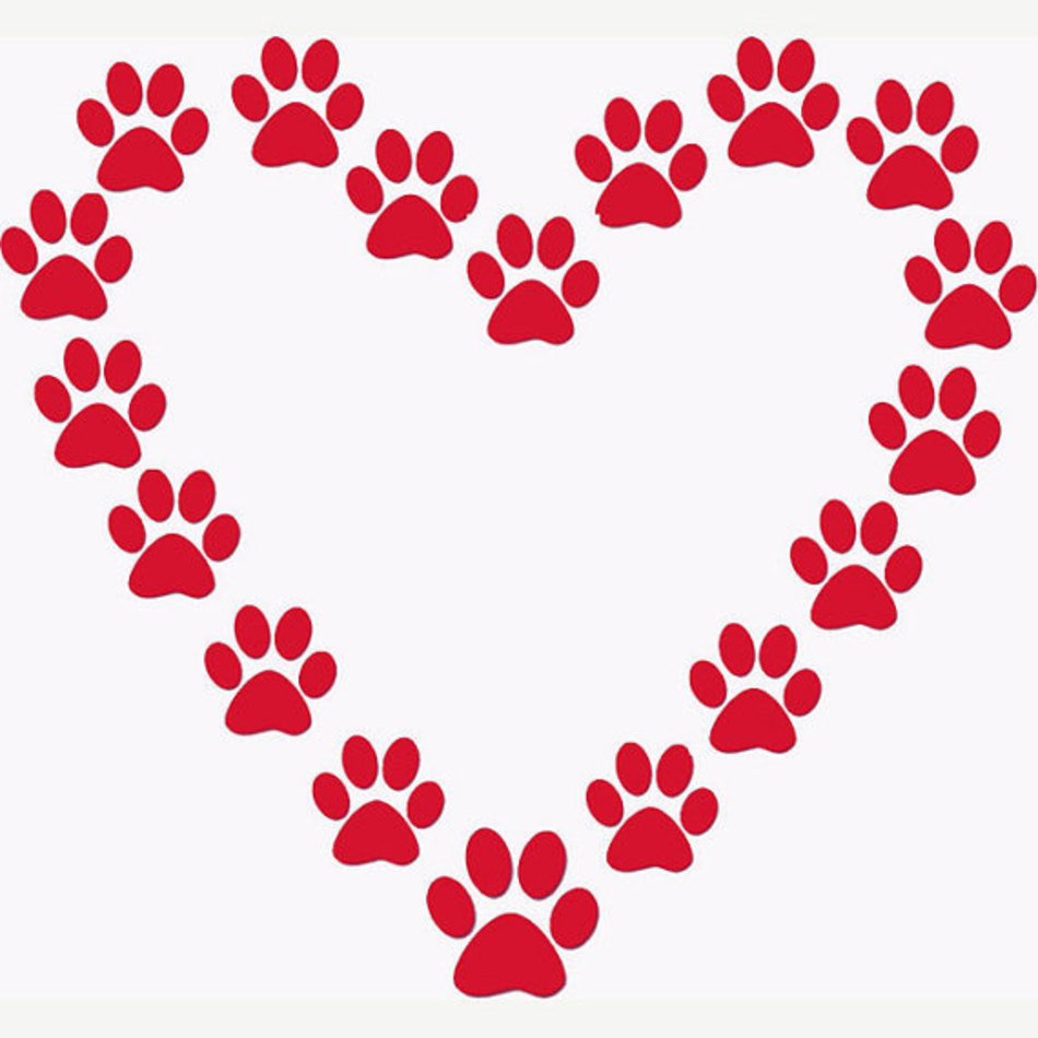 Paw Print At Clkercom Vector Online Stencils