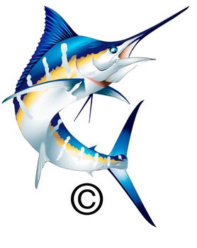 Marlin 20clipart Panda Free Images N2