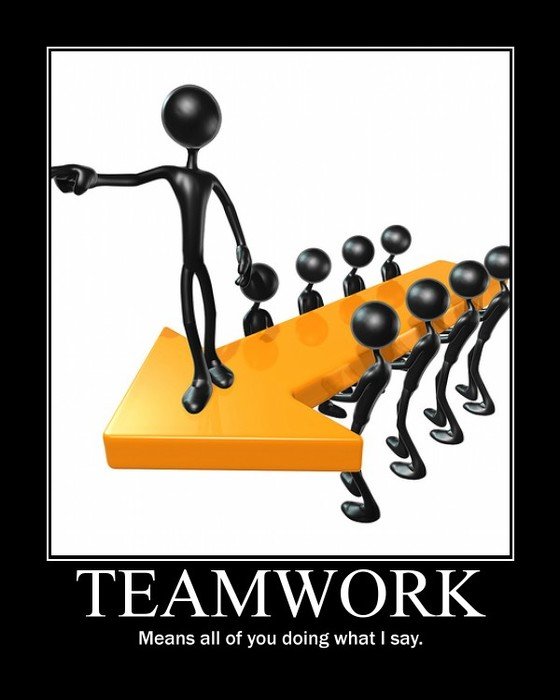 Teamwork Funny Panda Free Images N2