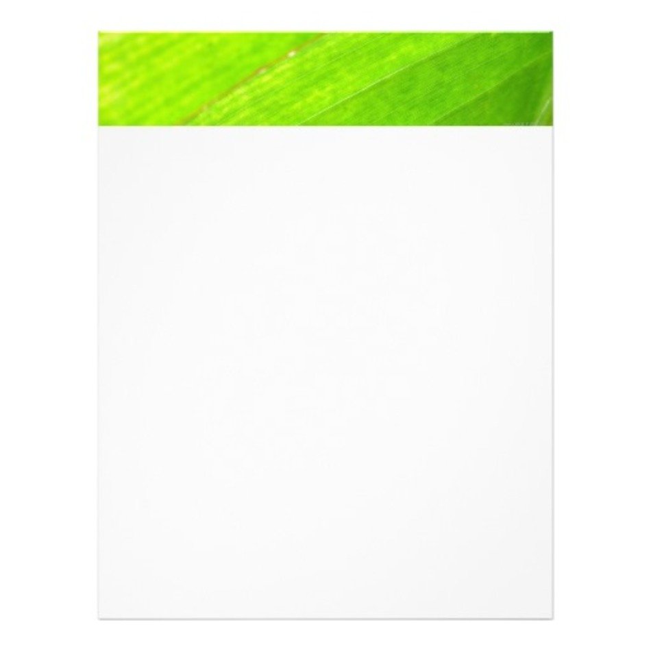 Palm Leaf Template Tattoo Pictures To Pin On Pinterest