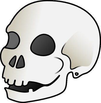 Cartoon Skull At Clkercom Vector Online Royalty