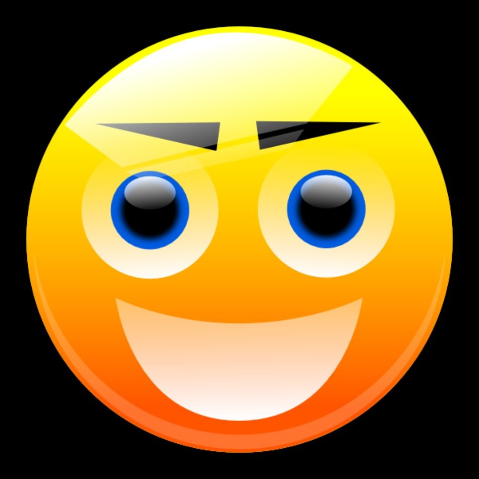 Smiley With Eyebrows At Clkercom Vector Online