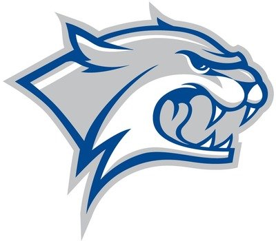 New Hampshire Wildcats Partial Logo Ncaa Division I N R