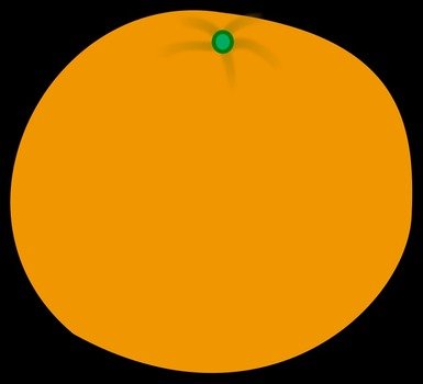 fresh Orange drawing