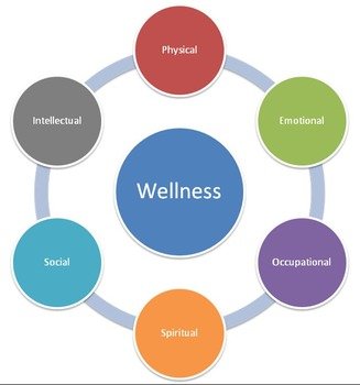 Interactive Wheel Wellness College Of Health Sciences Marquette