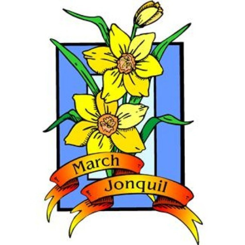 card with yellow daffodils