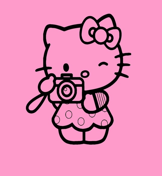 Hello Kitty with camera
