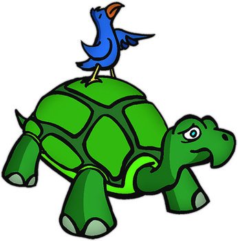 Free Turtle Animations