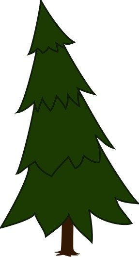 Pine Tree Silhouette N9