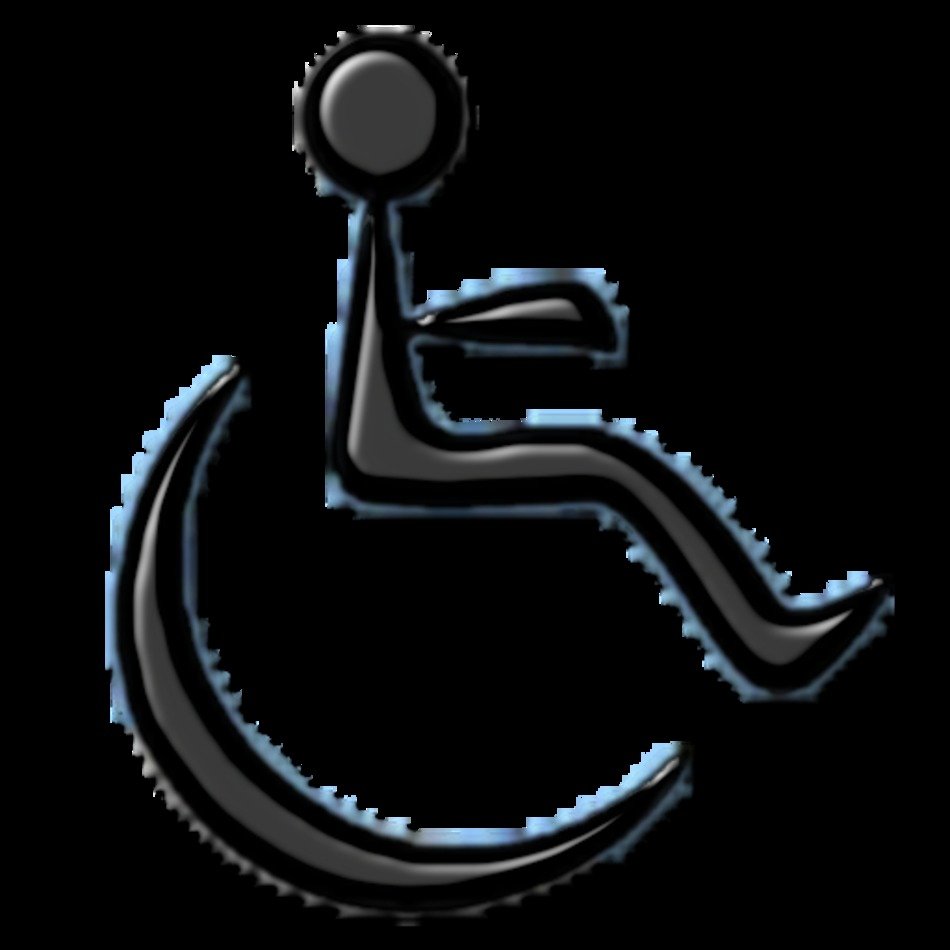 Handicap Accessible Icondoit