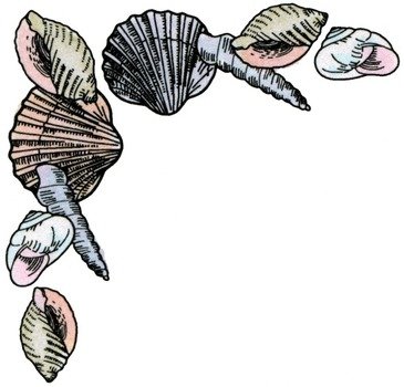 Border Borders Seashell Shell Sea Fish Tropical Ar 13 Bw clipart