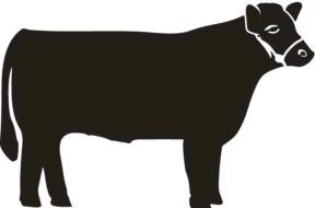 side view of dark Steer at black background, drawing
