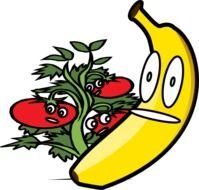 Fruit Salad At Clkercom Vector Online Royalty