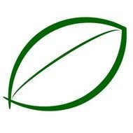 Green pumpkin leaf clipart
