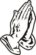 hands near each other on a white background