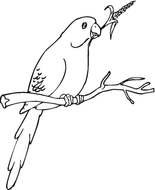 clipart of the bird is sitting on a branch